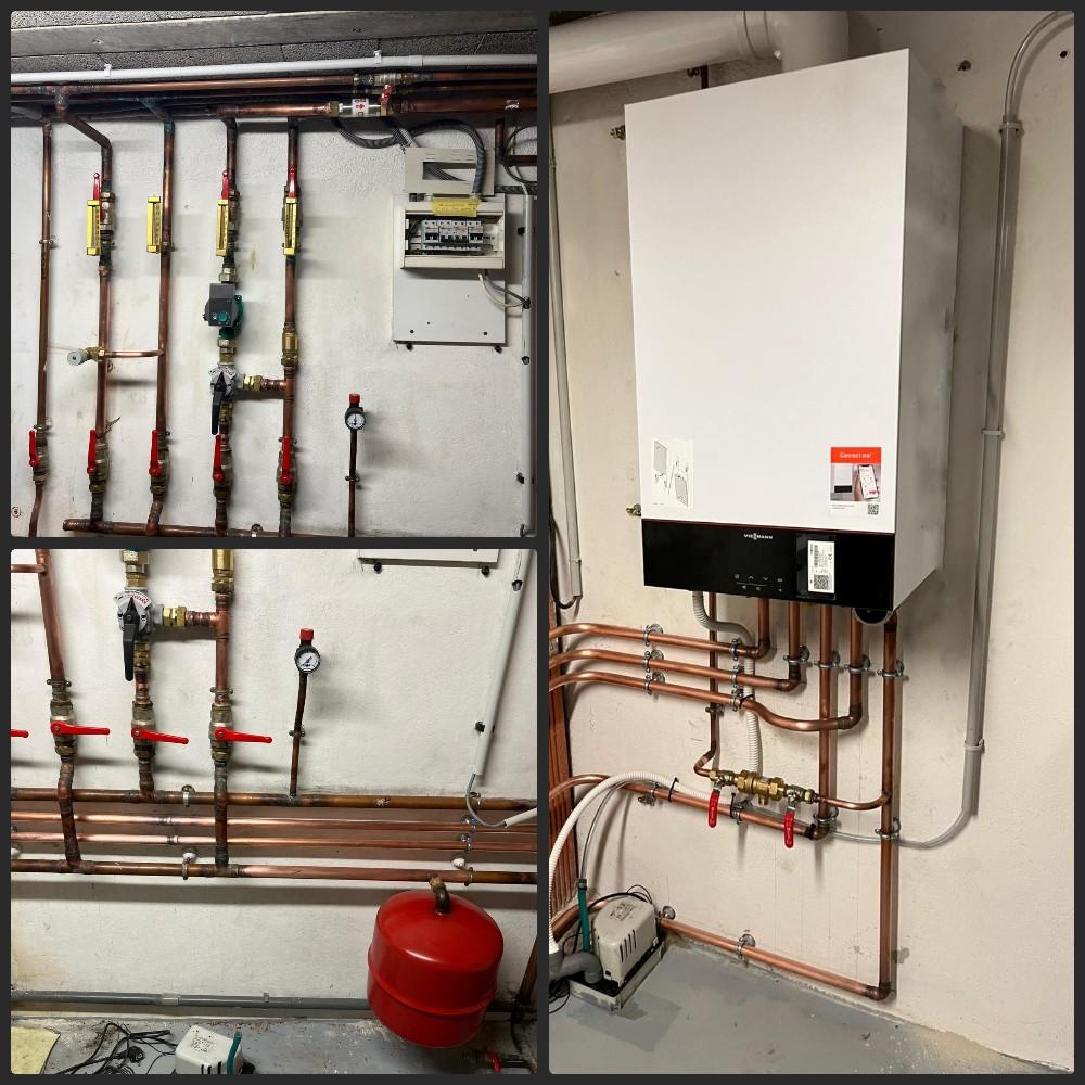 Collage_Maker_11_20_2025_4_37_12_PM